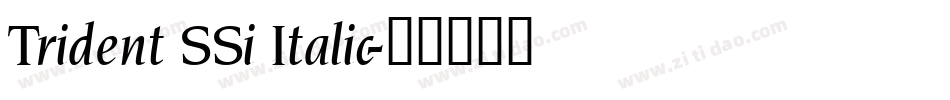 Trident SSi Italic字体转换